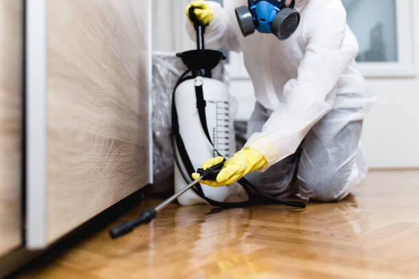 Best Exterminator Services  in Honesdale, PA