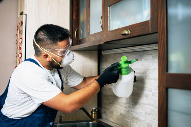 Best Flea Control Services  in Honesdale, PA