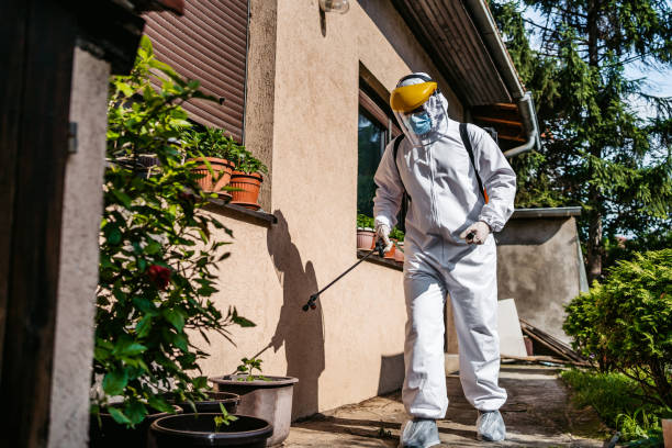 Best Best Pest Control Companies  in Honesdale, PA