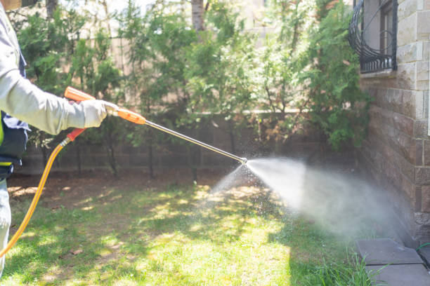 Best Mosquito Control Services  in Honesdale, PA