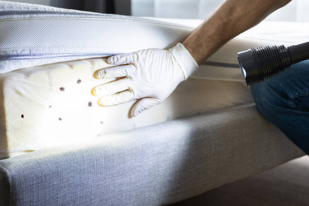 Best Best Pest Control Companies  in Honesdale, PA