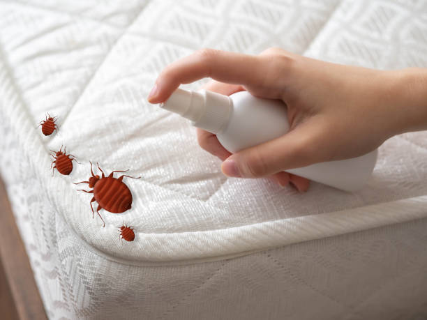 Best Residential Pest Control  in Honesdale, PA